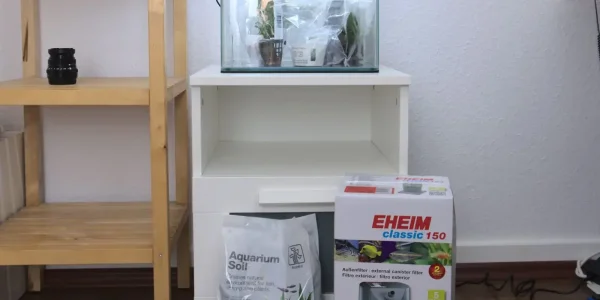 Low-budget aquascaping shopping list and guide